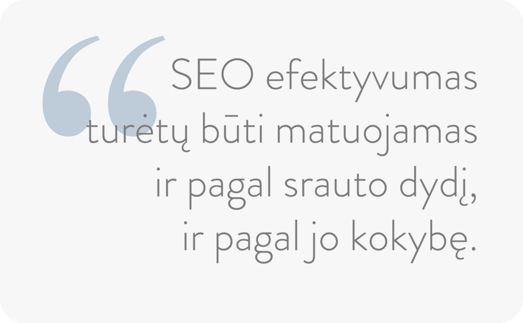 seo_efektyvumas
